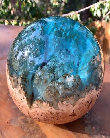 Click to view detail for SH058  Maple Burl, Blue 6